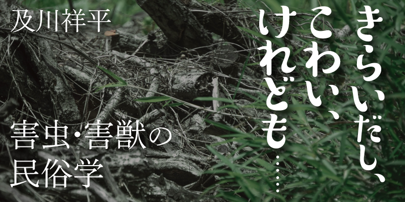 きらいだし、こわい、けれども…… | きらいだし、こわい、けれども……～害虫・害獣の民俗学～ | webあかし